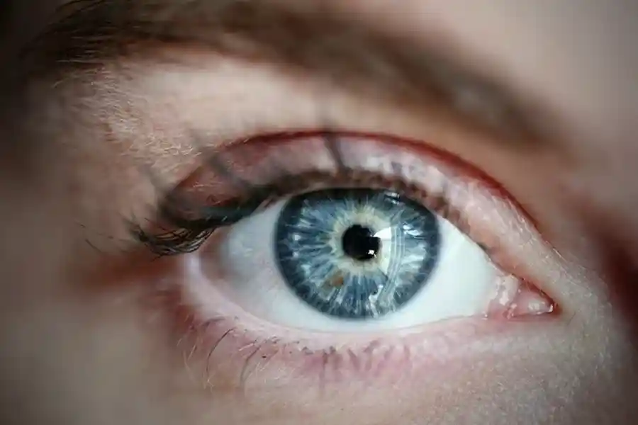Shalakya Tantra (ENT & Eye)