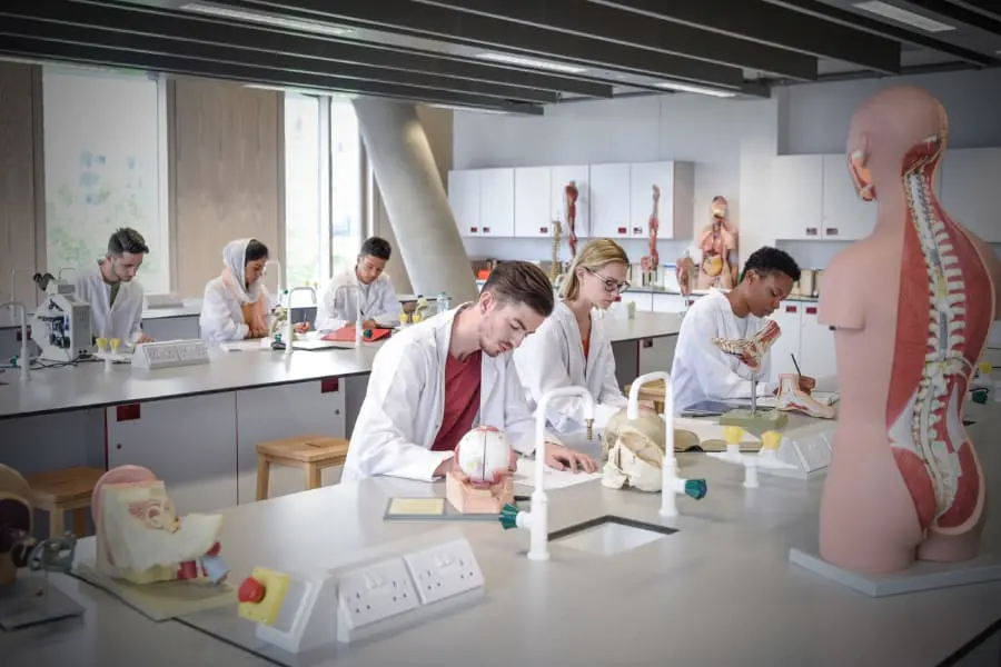Bachelor of Science