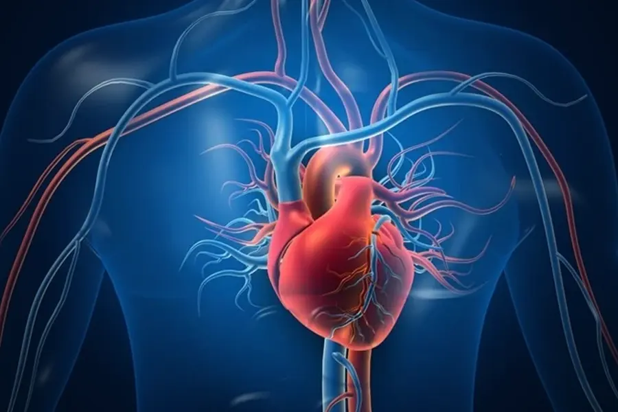 Bachelor of Cardiac transfusion technology